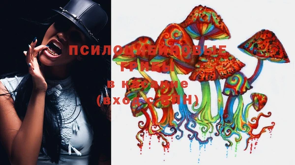 гидропоника Покров