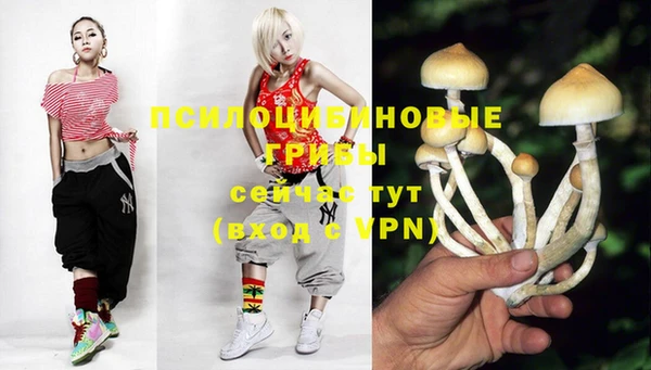 гидропоника Покров