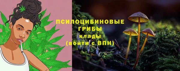 амфетамин Карпинск