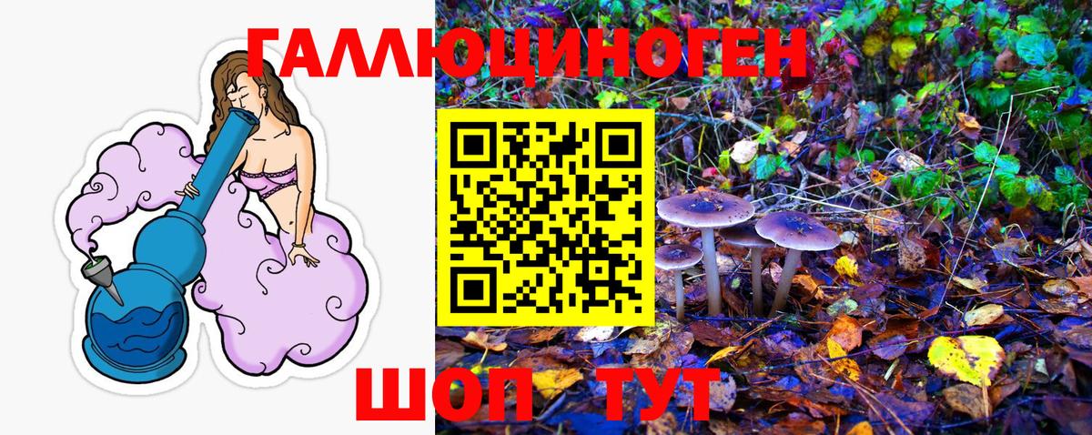ГАШИШ Абинск