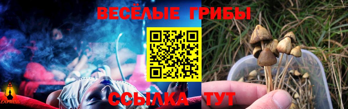 Абинск  Галлюциногенные грибы MAGIC MUSHROOMS  Вход с VPN 